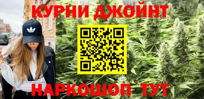 гидропоника Рязань