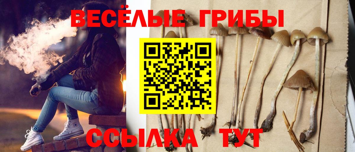 Псилоцибиновые грибы GOLDEN TEACHER Надым